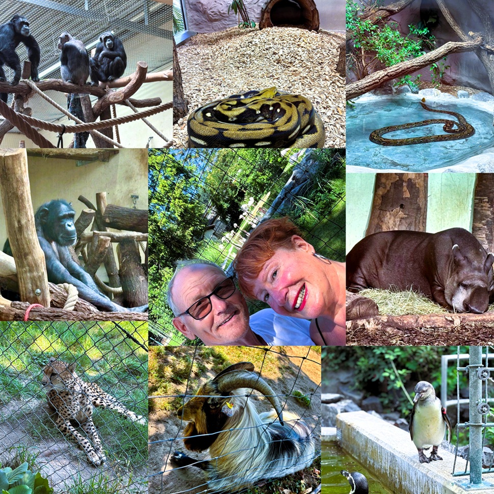 Neuwieder Zoo